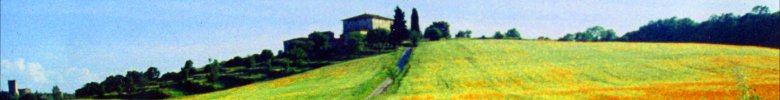 DIGITAL LANDSCAPE