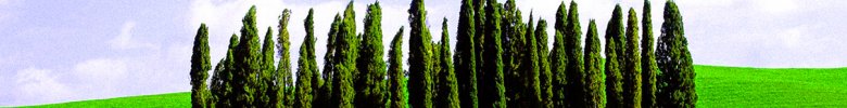 DIGITAL LANDSCAPE