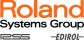 ROLAND SYSTEMS GROUP