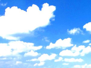DIGITAL LANDSCAPE